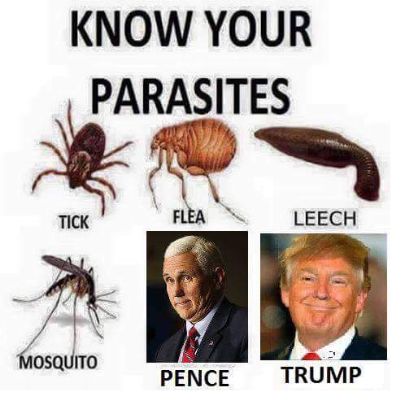 know your parasite